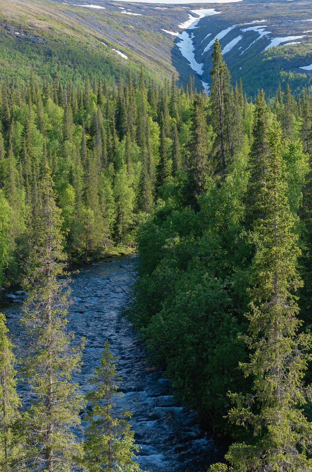 Photo #13208735