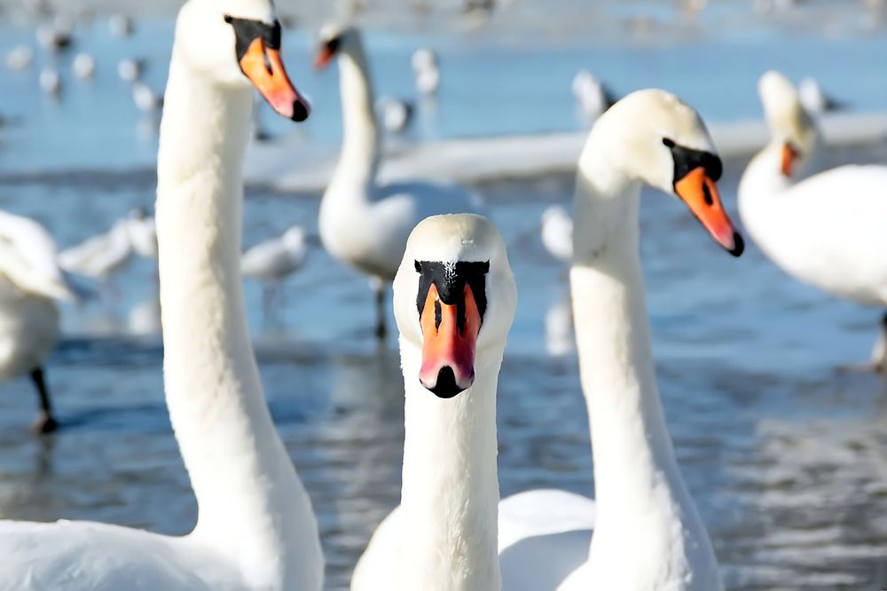 Photograph by valera0053