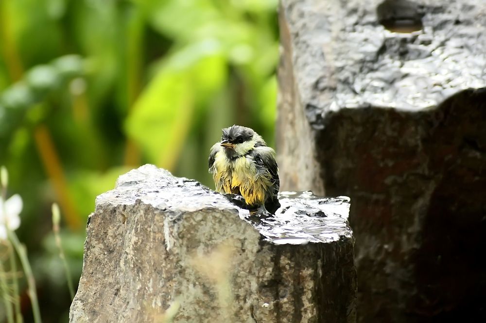 Photograph by valera0053