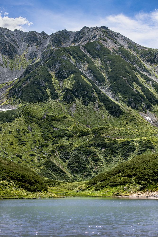 Photograph by Iwamoto Reina