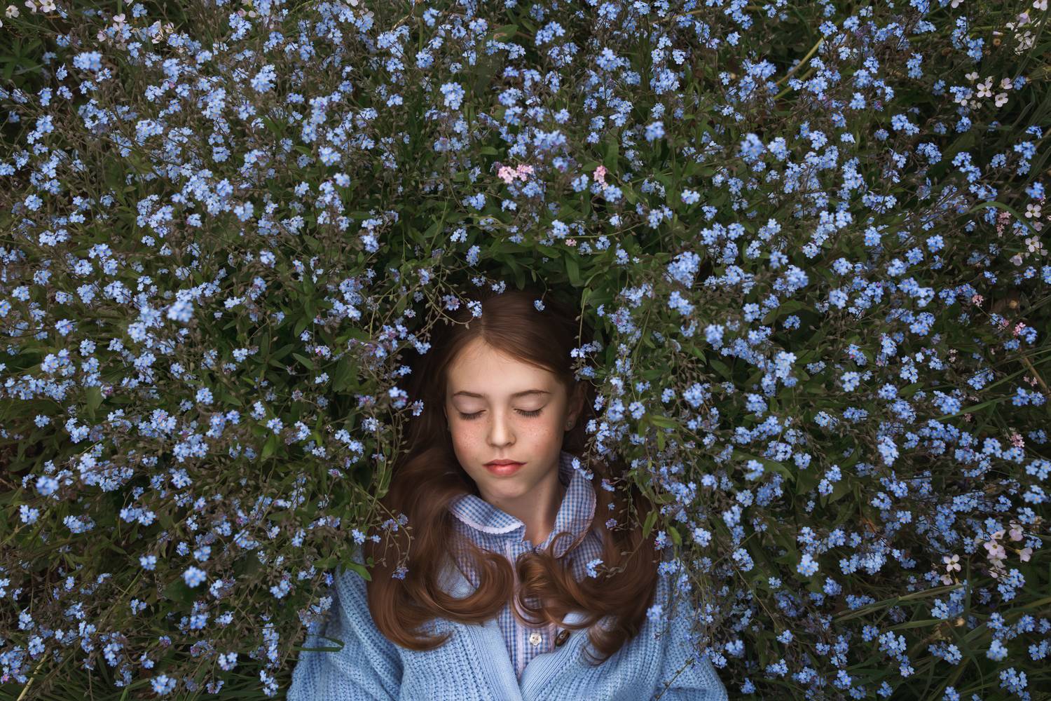 Фотография #13208792