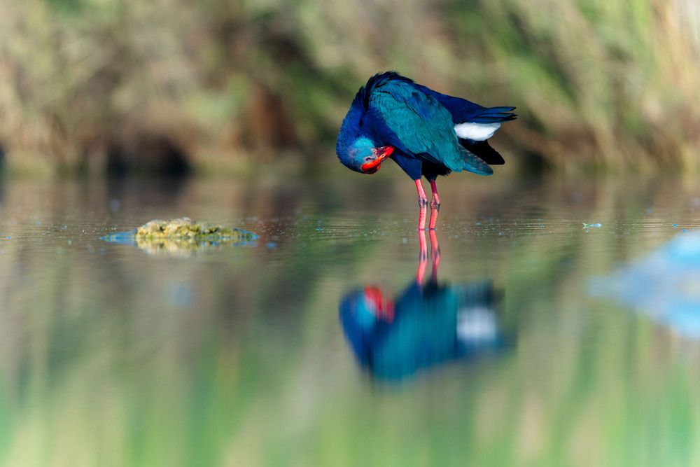 Photograph by Leslee Jayachandran