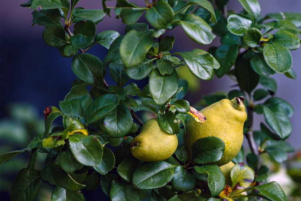 Photograph by Надежда Хрусталёва