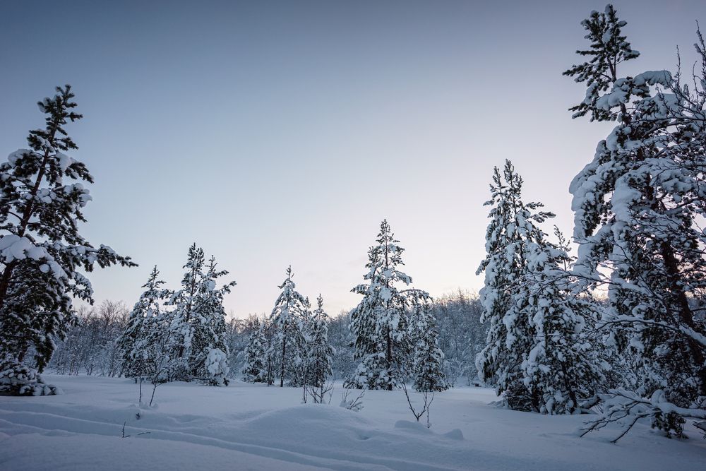 Photograph by Александр Шалагин