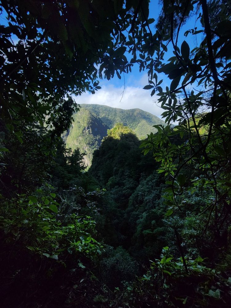 Photograph by Simona Synkova