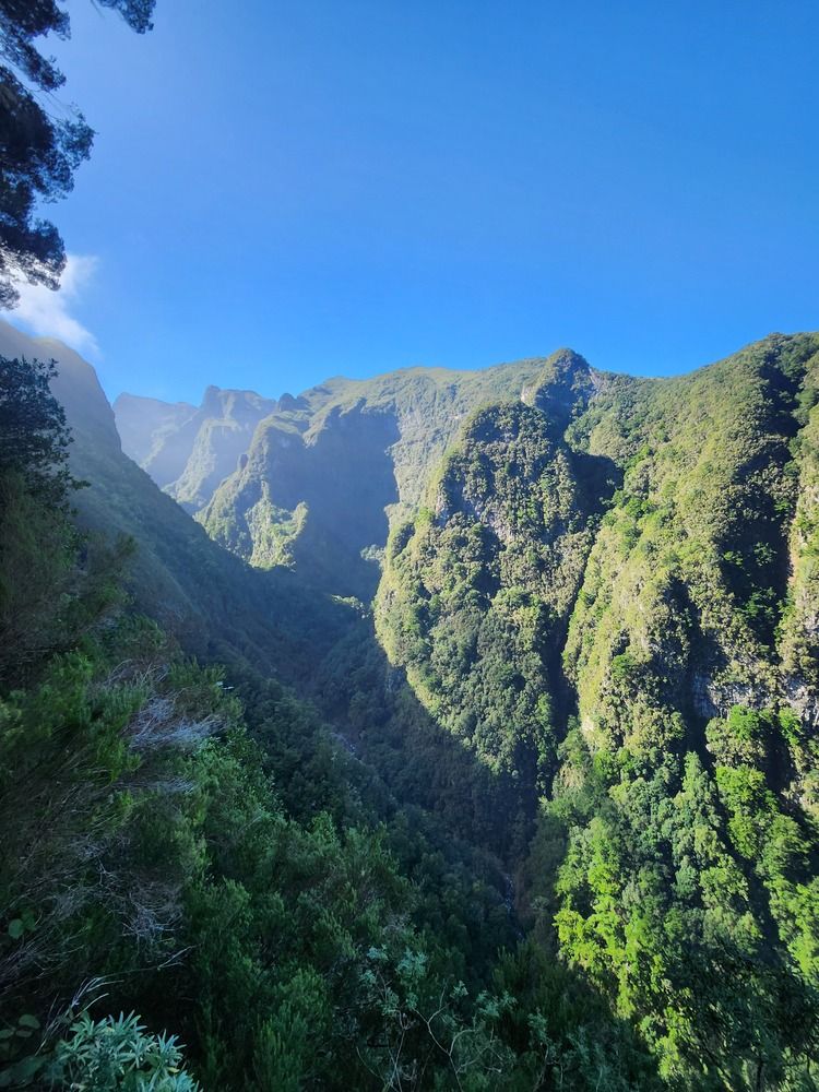 Photograph by Simona Synkova