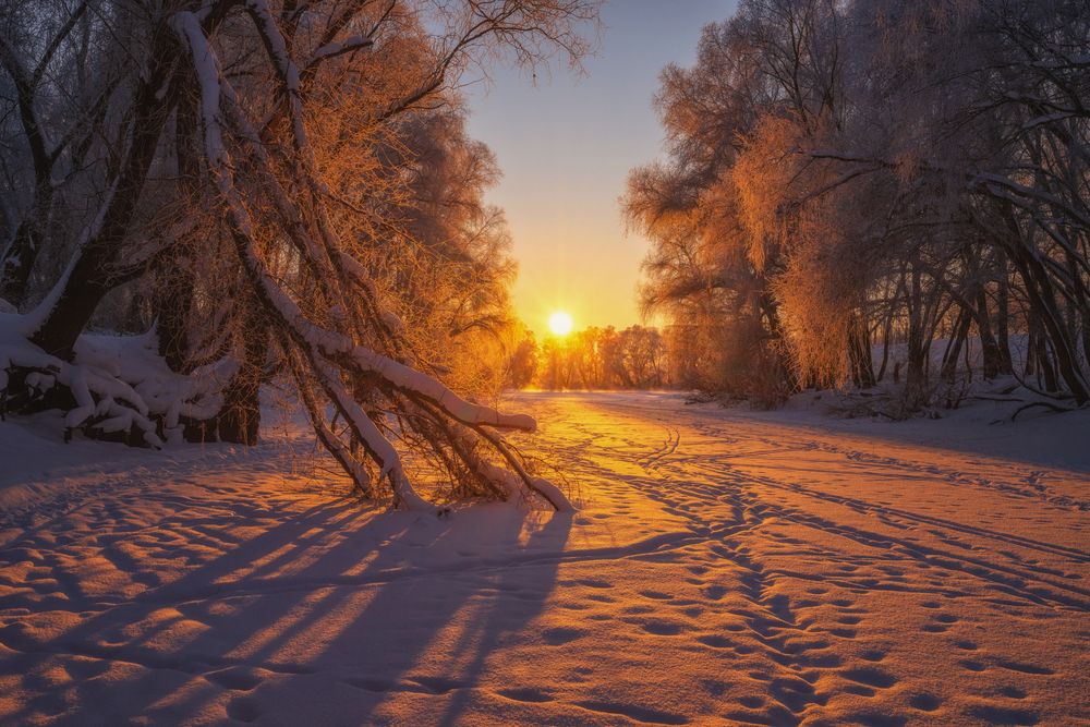 Фотография автора Третьякова Анастасия