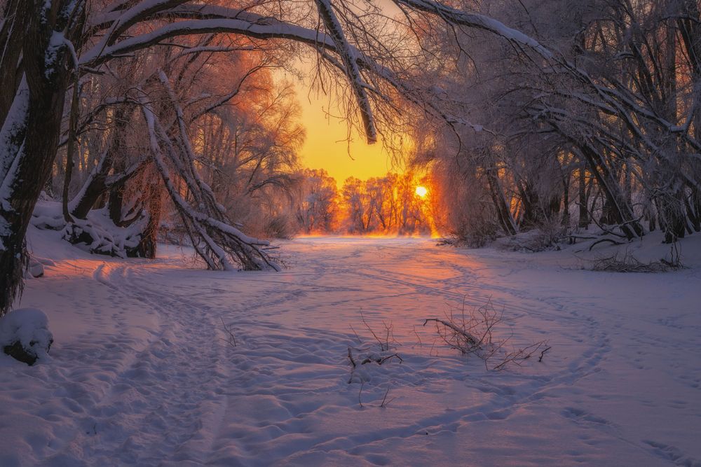 Фотография автора Третьякова Анастасия