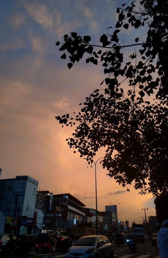 Photo #13208963