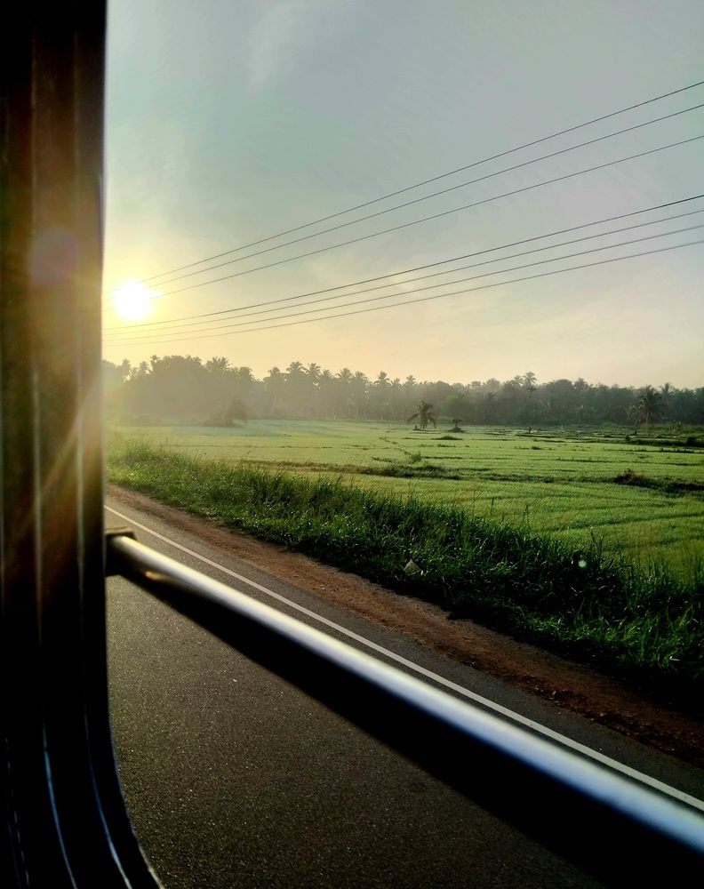 Photo #13208965