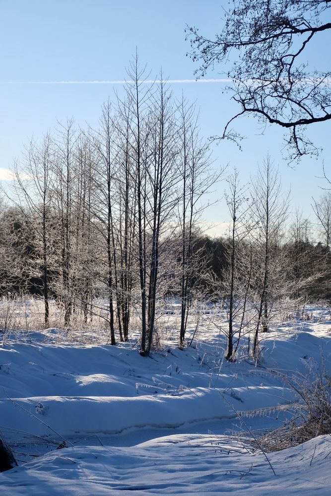 Photograph by Надежда Ткаченко