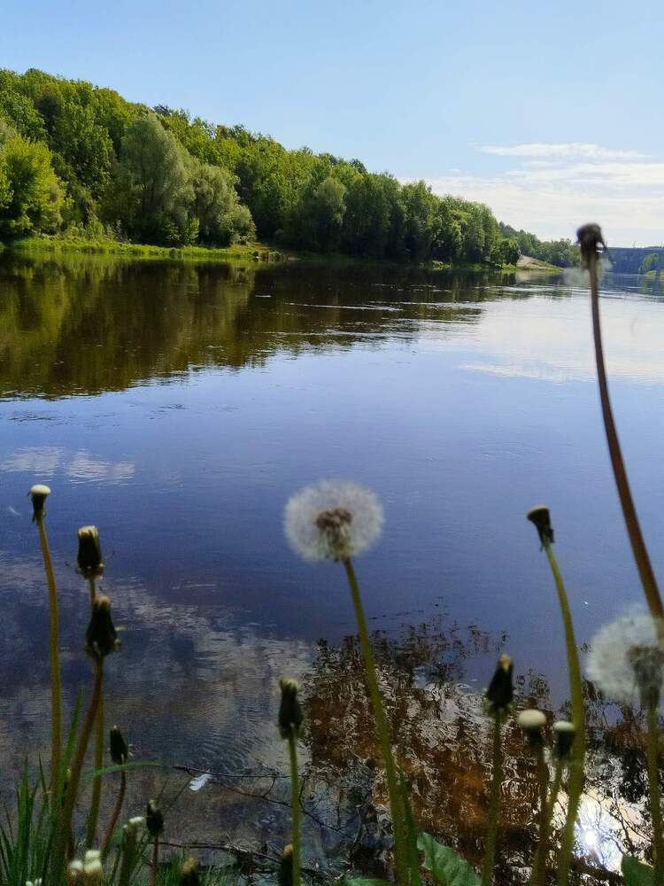 Фотография автора Татьяна Солтан