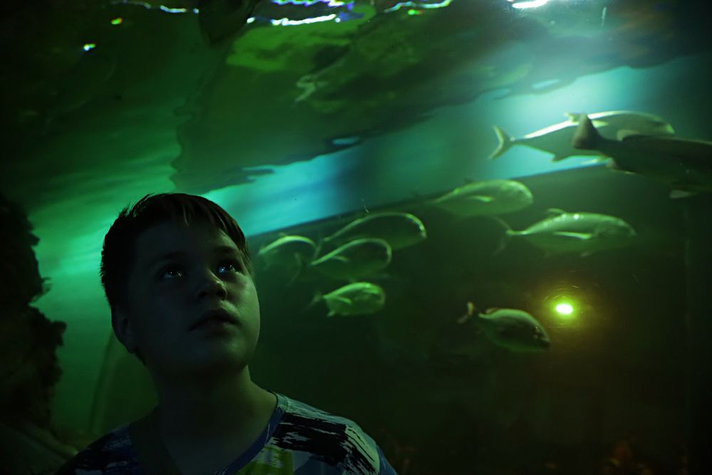 Photograph by Юлия Ташлыцкая