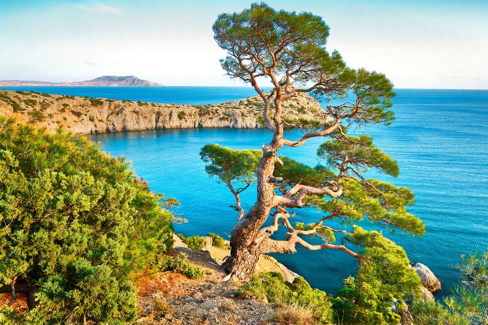 Фотография автора Владимир Бочковский