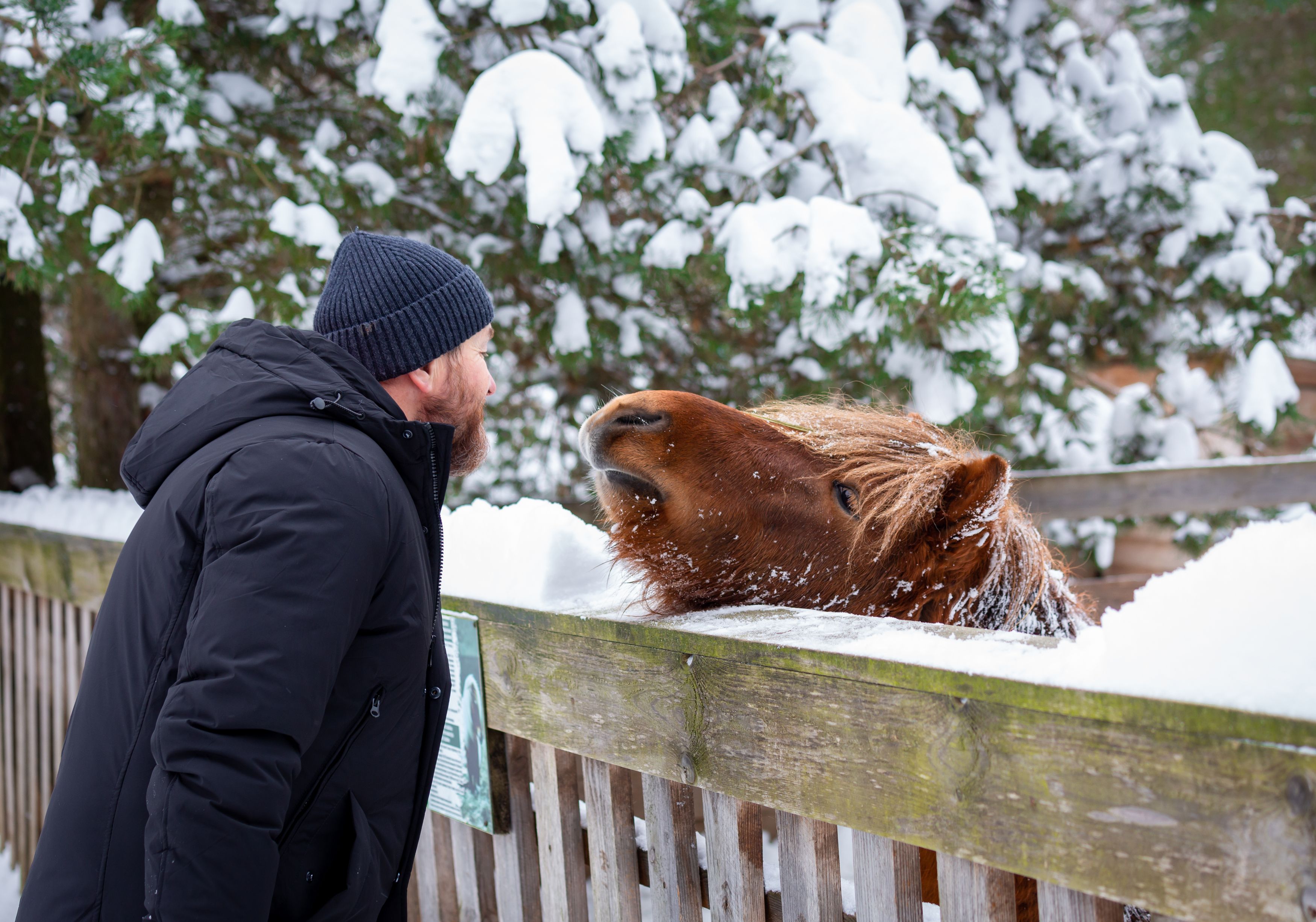 Photograph by Диана Бородзе