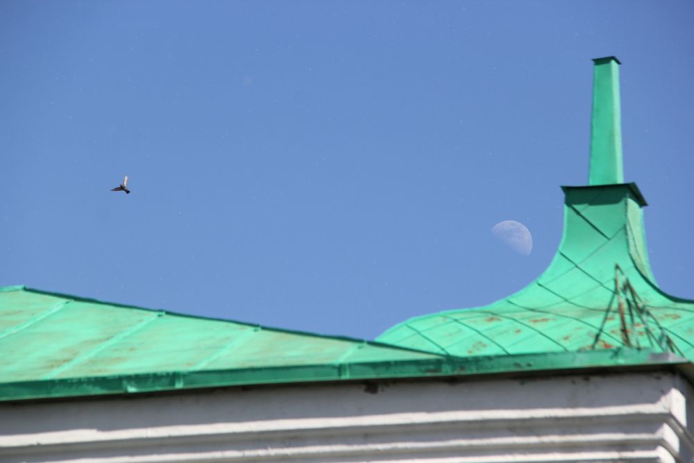 Фотография автора Mark Kolbin