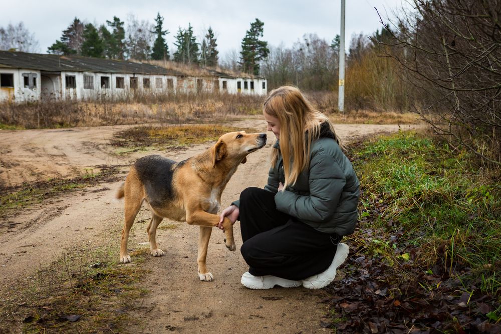 Photograph by Диана Бородзе