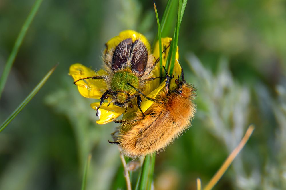 Photograph by Алексей Сальников