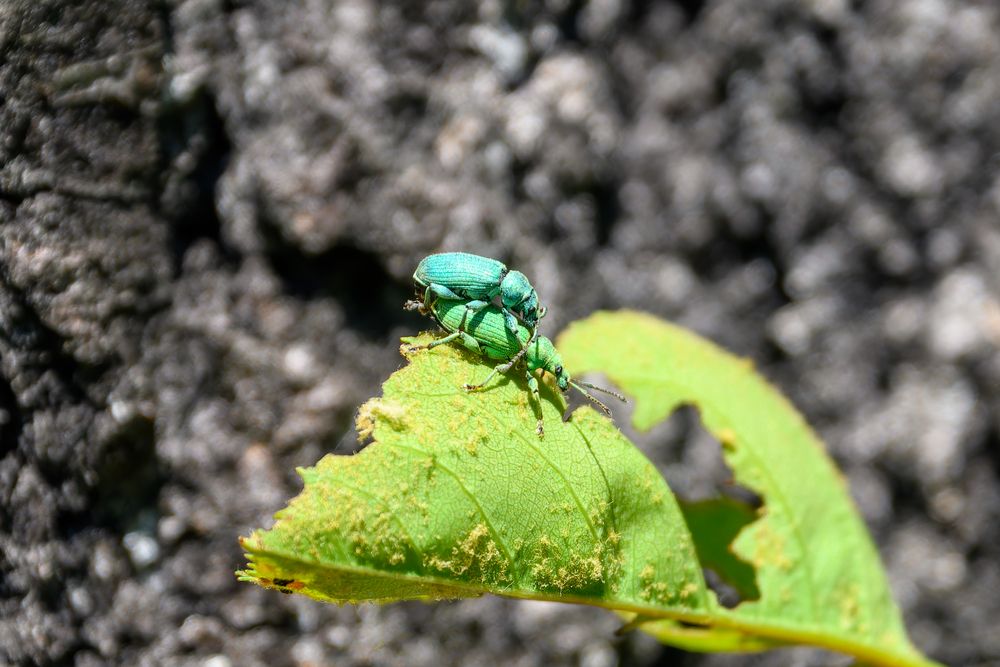 Photograph by Алексей Сальников