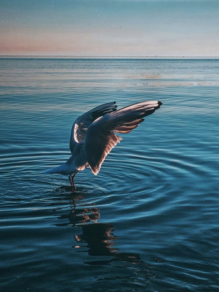 Photograph by Наталья Тополевская