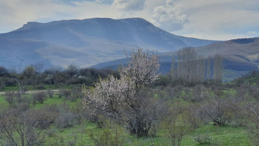 Photograph by Элеонора Бульс