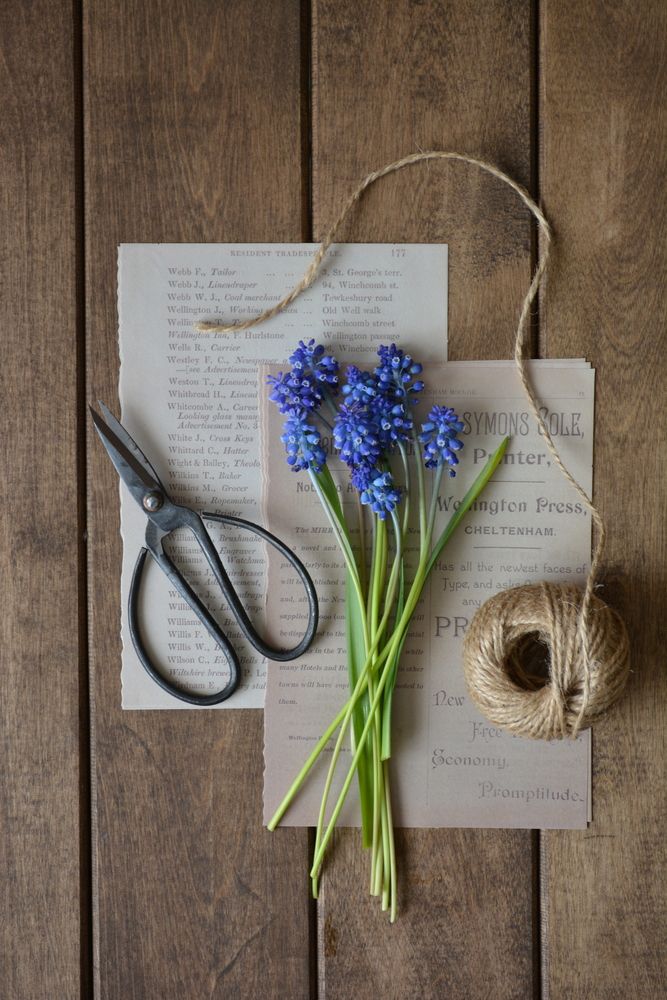 Фотография автора Ирина Дашевская