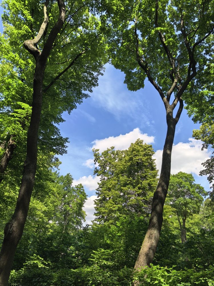 Фотография автора Елена Охапкина