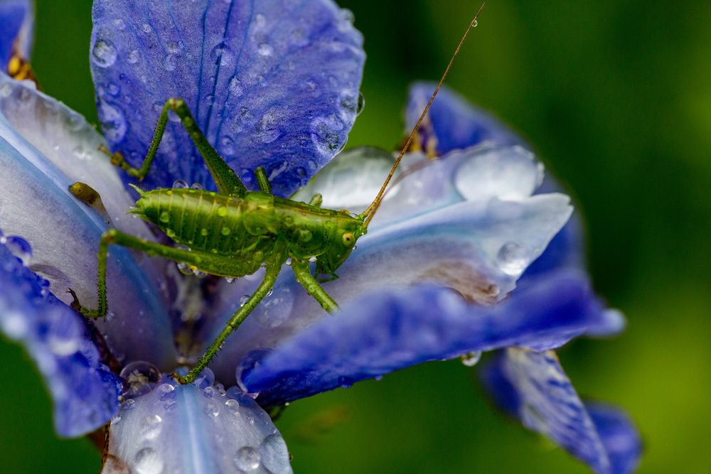 Photograph by Тимофей Черепанов