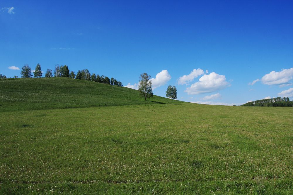 Photograph by Тимофей Черепанов