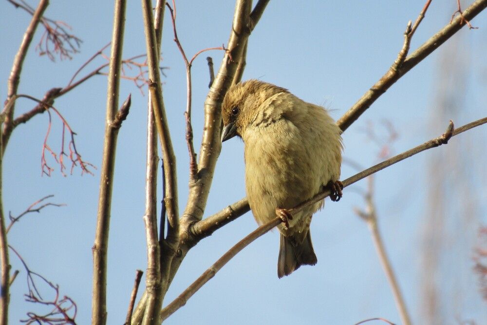 Photograph by Ольга Березовская