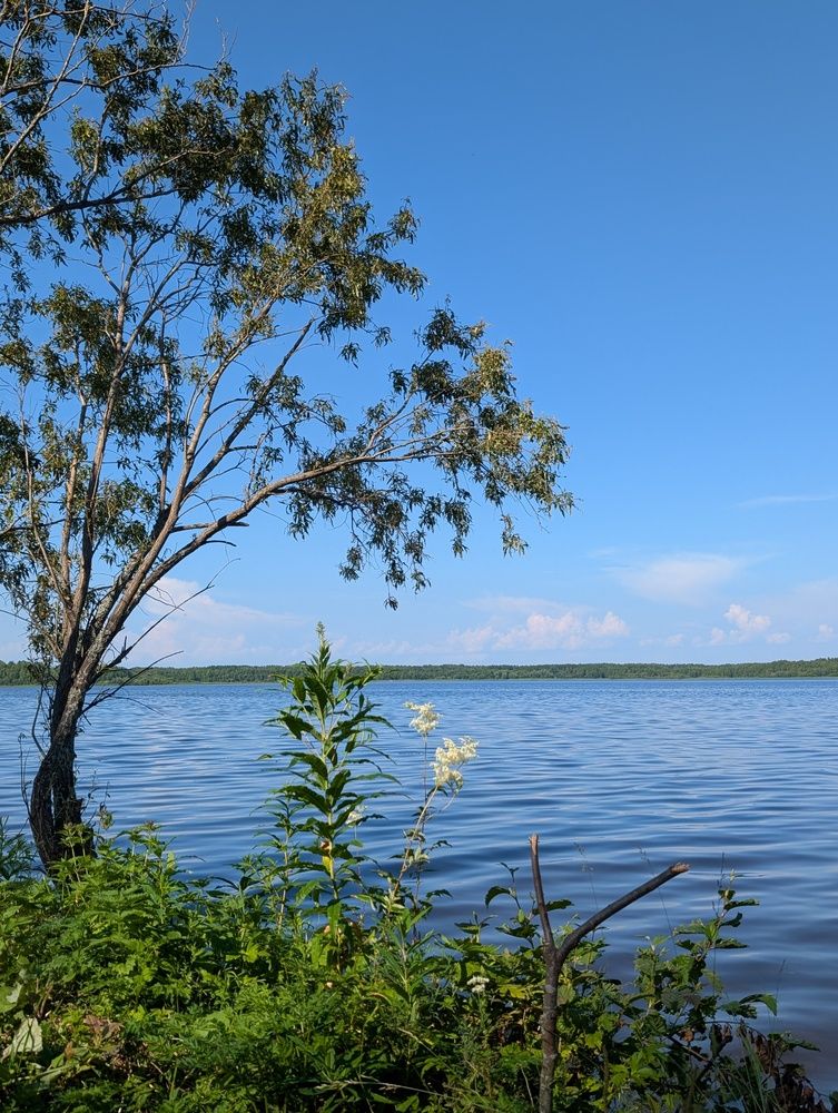 Photograph by Наталья Горовых
