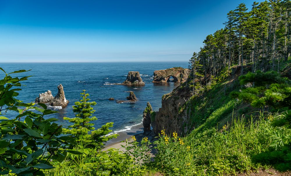 Фотография автора Дмитрий Потапов