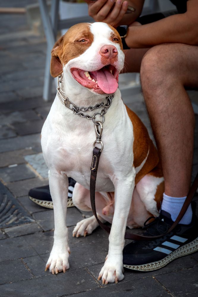 Photograph by Зоя Эль