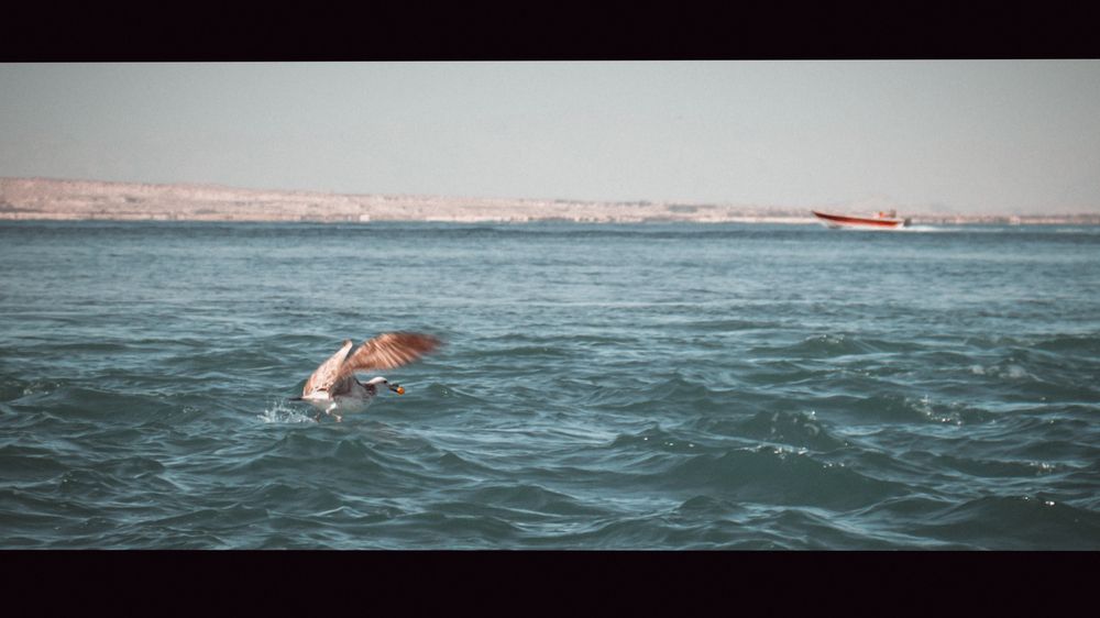Photograph by Parsa Mohammadinejad
