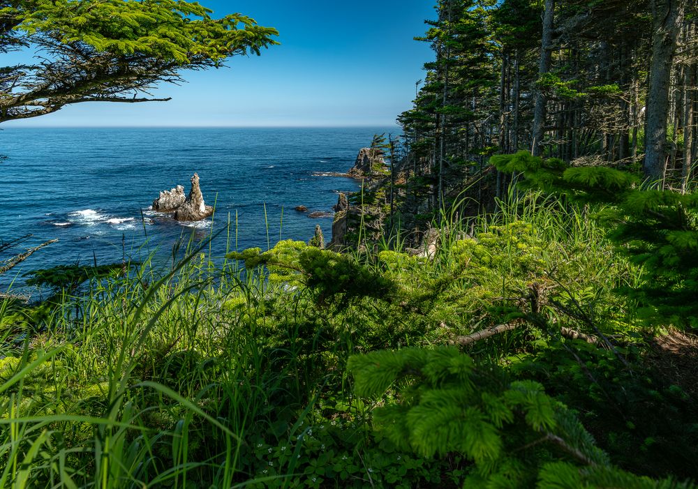 Фотография автора Дмитрий Потапов