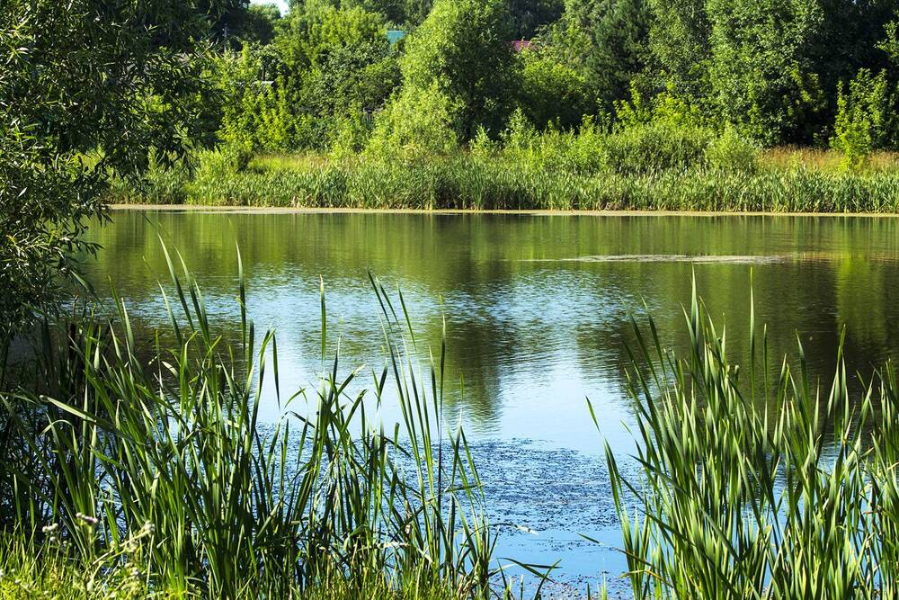 Photograph by Людмила Павловна