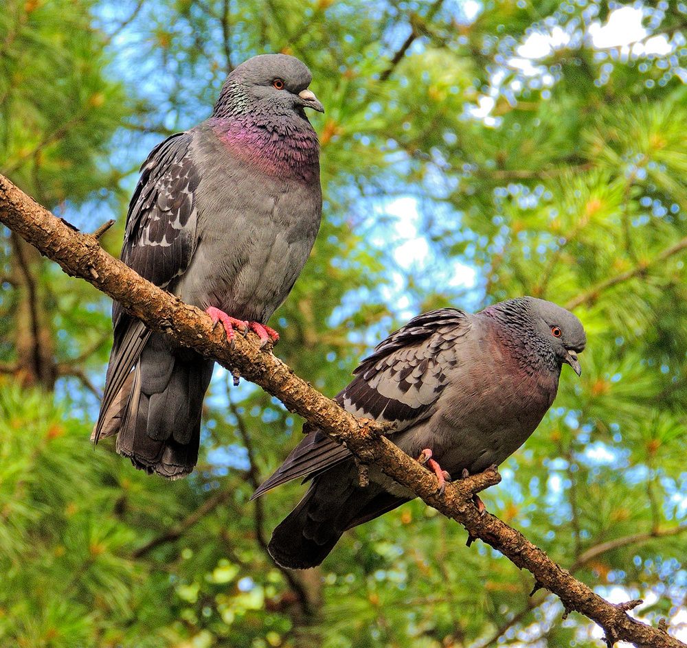 Photograph by Павел Кулинич