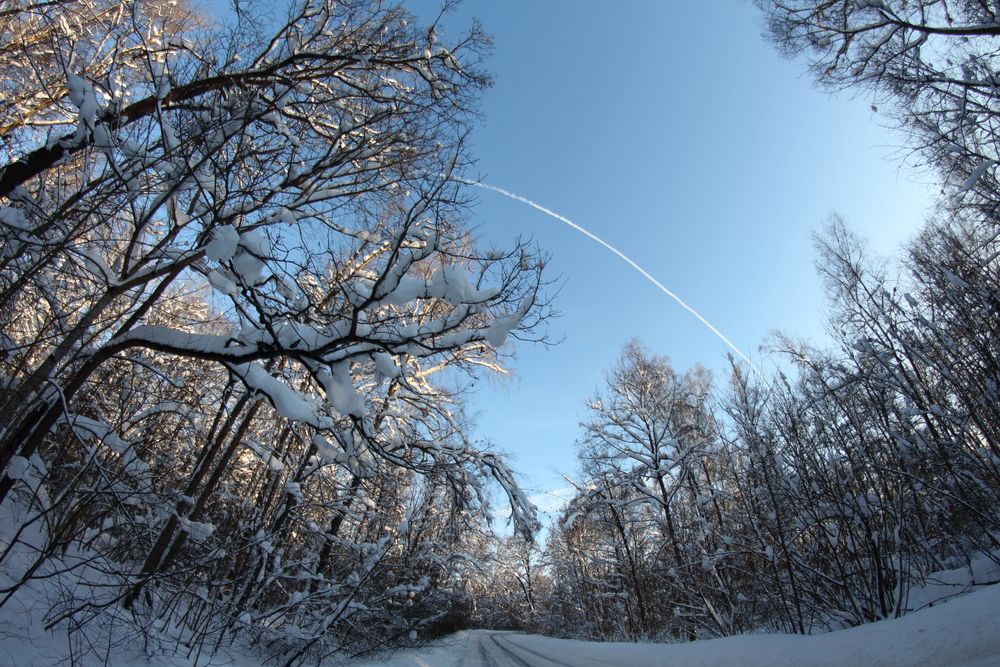 Зимняя дорога через чудный лес // Winter road through a wonderful forest