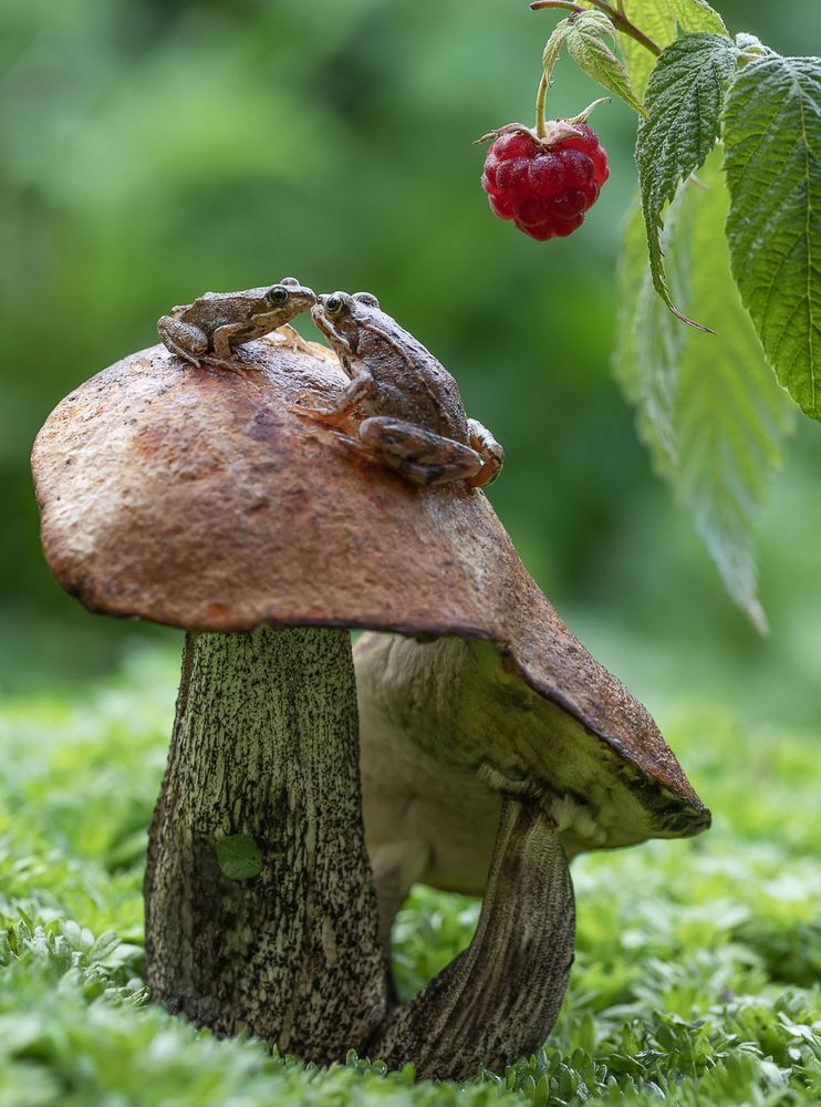 Photograph by Татьяна Феденкова