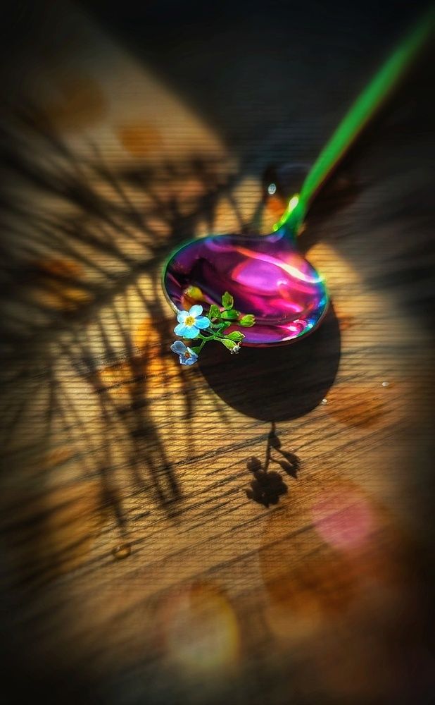 Photograph by Алла Холодова