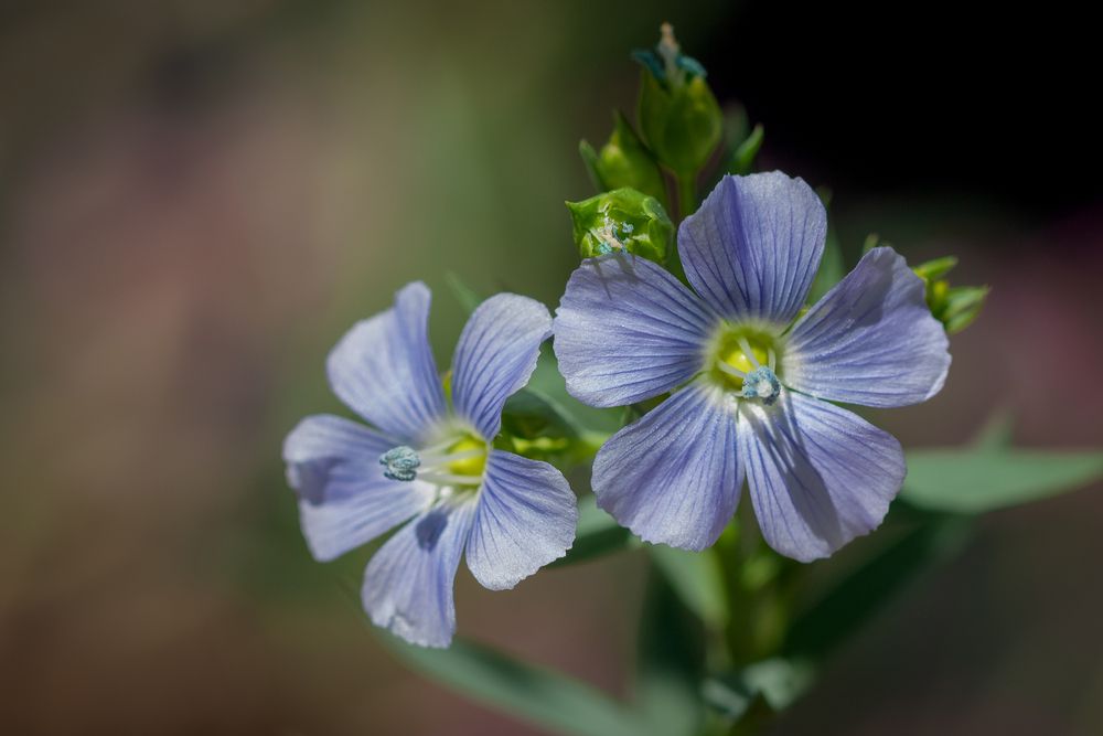 Photograph by Зоя Эль