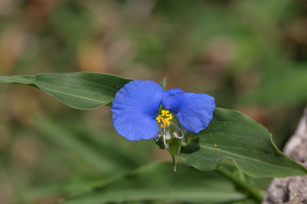 Photograph by Зоя Эль