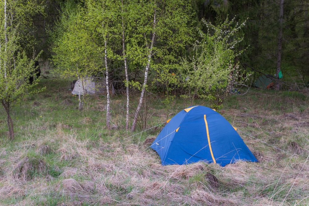 Photograph by Alexander Novikov