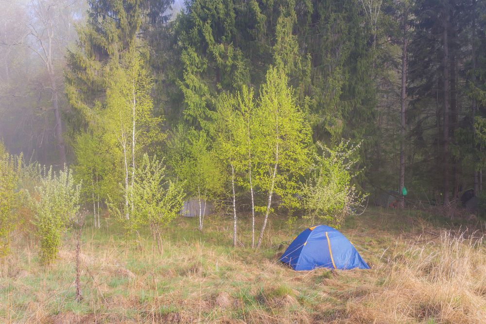 Photograph by Alexander Novikov