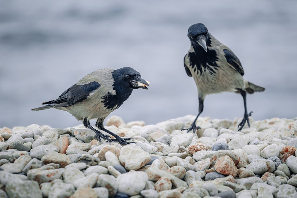 Photograph by Андрей Котенко