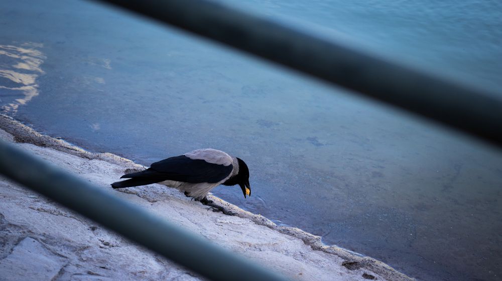 Photograph by Parsa Mohammadinejad