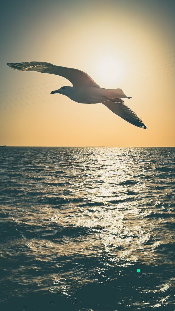 Photograph by Parsa Mohammadinejad