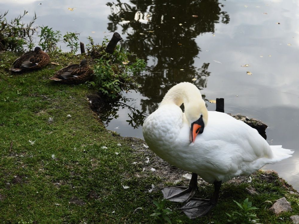 Photograph by Jozef Potocký
