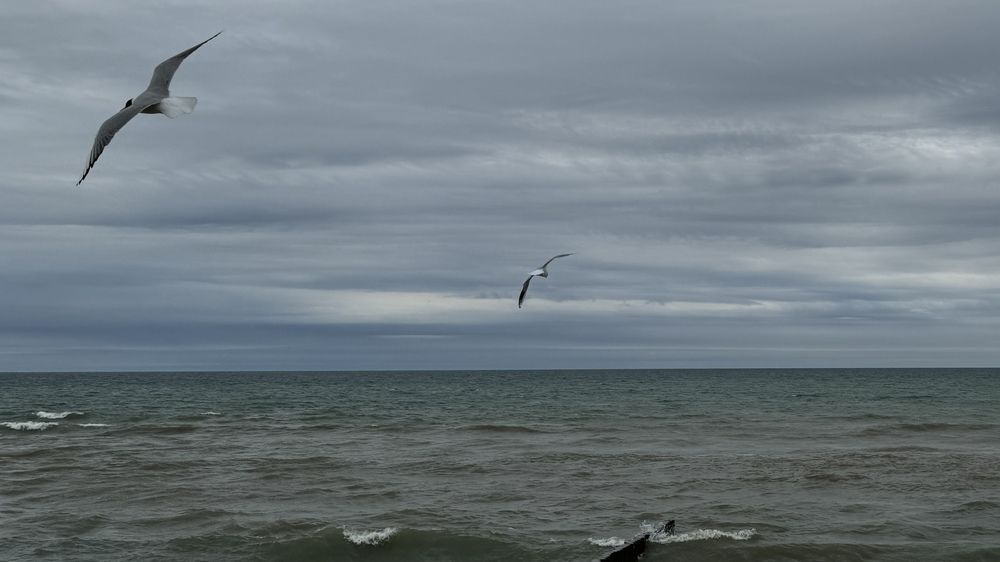 Photograph by Сергей Смирнов