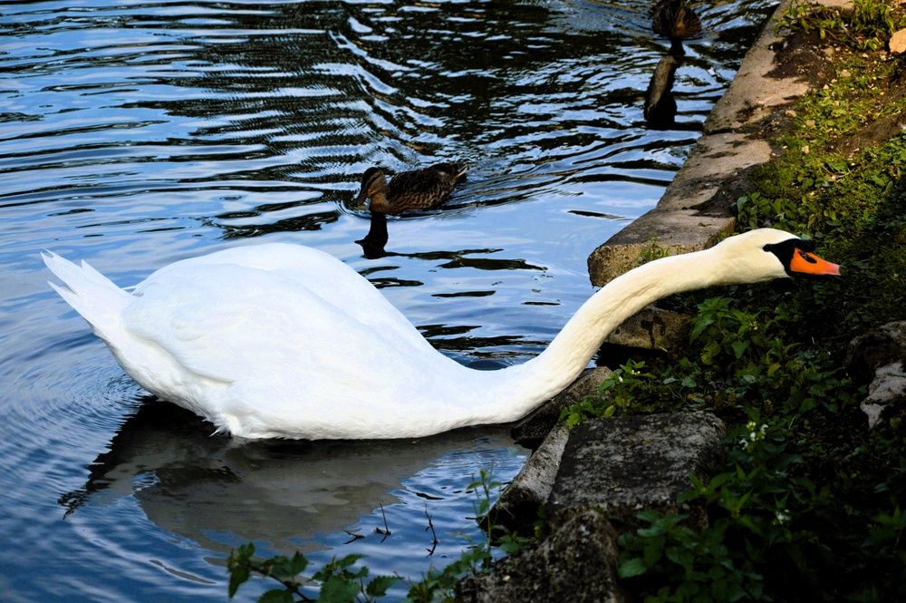 Photograph by Jozef Potocký
